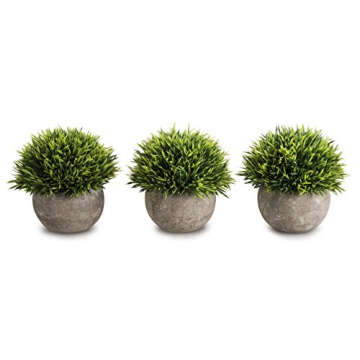 Artificial Mini Plants Set – Stylish Home Decor.
