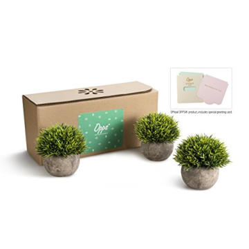 Artificial Mini Plants Set – Stylish Home Decor.