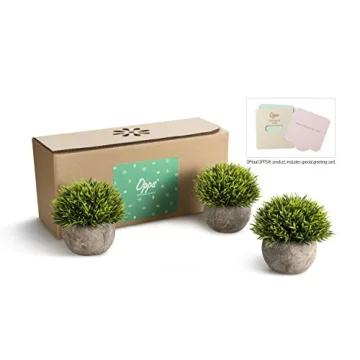 Artificial Mini Plants Set – Stylish Home Decor.