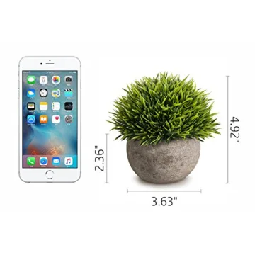 Artificial Mini Plants Set – Stylish Home Decor.