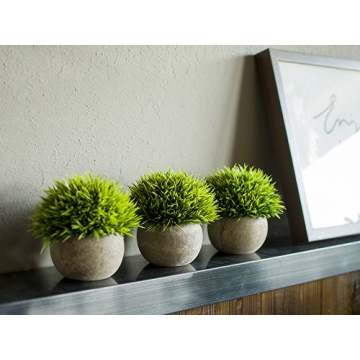 Artificial Mini Plants Set – Stylish Home Decor.