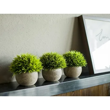 Artificial Mini Plants Set – Stylish Home Decor.