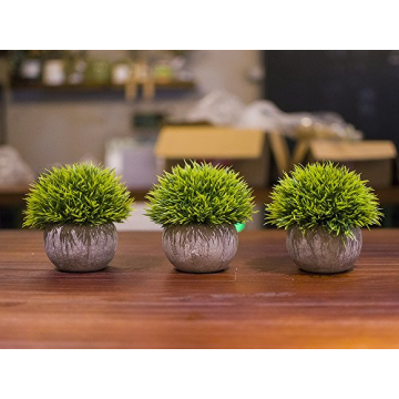 Artificial Mini Plants Set – Stylish Home Decor.