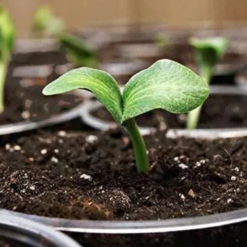 Coast of Maine Sprout Island Blend Organic & Natural Seed Starter for Seed Germination and Rooting Plant Cuttings, 16 Quarts (Pack of 2)