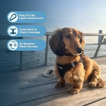 Voyager Step-In Pet Harness - Secure and Comfortable Fit