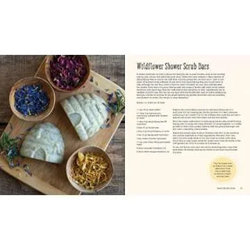 The Big Book of Homemade Products for Your Skin, Health and Home: Easy, All-Natural DIY Projects Using Herbs, Flowers and Other Plants