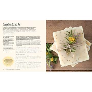 The Big Book of Homemade Products for Your Skin, Health and Home: Easy, All-Natural DIY Projects Using Herbs, Flowers and Other Plants