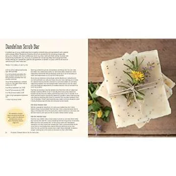 The Big Book of Homemade Products for Your Skin, Health and Home: Easy, All-Natural DIY Projects Using Herbs, Flowers and Other Plants