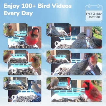 Twesync Bird Feeder with Camera, 2K HD Bird Video Capture, 5000mAh Battery with Solar Panel, Instant Arrival Alerts, Live View, AI Bird Species Identification, Perfect for Bird Lovers