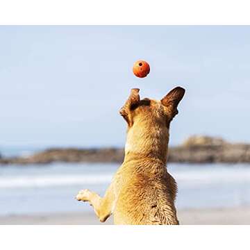 ChuckIt! High-Bounce Rubber Fetch Ball, Small (Colors Vary) 2 Pack