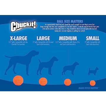 ChuckIt! High-Bounce Rubber Fetch Ball, Small (Colors Vary) 2 Pack