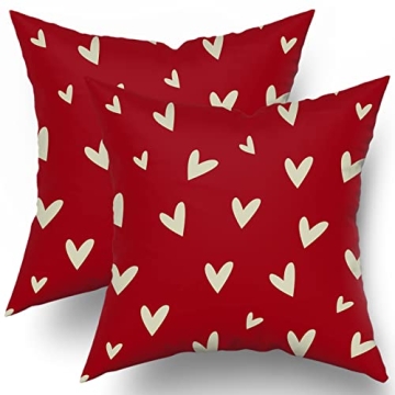 Charming Valentine's Day Pillow Covers 18x18 Set of 2 - Soft Romantic Hearts