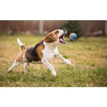 Snug Rubber Dog Balls for Small and Medium Dogs - Tennis Ball Size - Virtually Indestructible (3 Pack - Original)