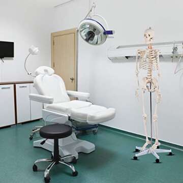 Giantex 70.8" Life Size Skeleton Model - Anatomical Tool for Teaching