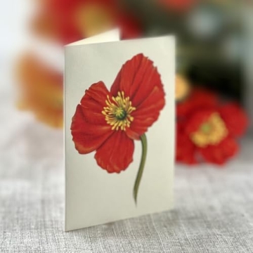 3D Flower Bouquet Popup Cards for All Occasions