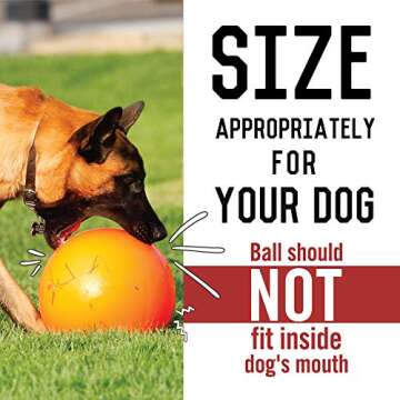 Virtually Indestructible Best Ball for Dogs, 10-inch