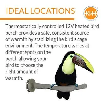 K&H Thermo-Perch Heated Bird Perch Safe Companion