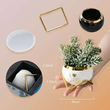 PeraBella Boss Gifts for Women -Gifts for Female Boss, Boss's Day Gifts - Boss Lady Gifts for Women - New Boss Gifts for Women - Birthday Gifts for Boss - Best Boss Ever Gifts Succulent Pots - 3 Pcs