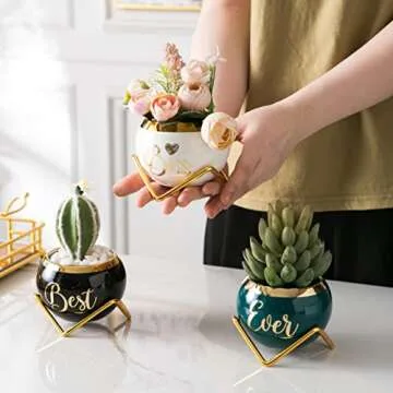 PeraBella Boss Gifts for Women -Gifts for Female Boss, Boss's Day Gifts - Boss Lady Gifts for Women - New Boss Gifts for Women - Birthday Gifts for Boss - Best Boss Ever Gifts Succulent Pots - 3 Pcs
