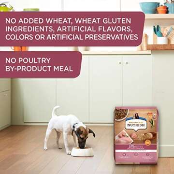 Rachael Ray Nutrish Little Bites Dry Dog Food, Chicken & Veggies Recipe for Small Breeds, 14 Pounds