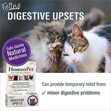 HomeoPet Feline Digestive Upsets, Natural Cat Digestive Support, Digestive Supplement for Cats, 15 M...