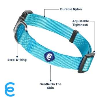 Blueberry Pet Essentials Small Dog Collar | Boy Dog Collars Fall | Male Dog Collar Small | Turquoise Dog Collars for Small Dogs | Quick Release Dog Collar | Turquoise Nylon Dog Collar