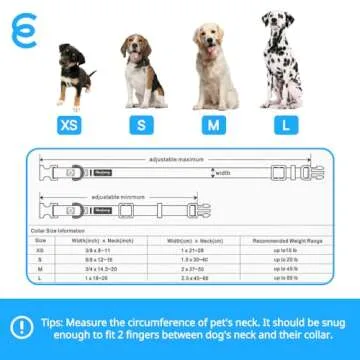 Blueberry Pet Essentials Small Dog Collar | Boy Dog Collars Fall | Male Dog Collar Small | Turquoise Dog Collars for Small Dogs | Quick Release Dog Collar | Turquoise Nylon Dog Collar