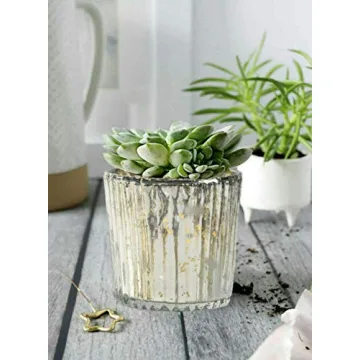 Elegant Ribbed Glass Votive Holders Set of 6 for Any Occasion