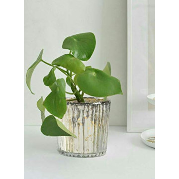 Elegant Ribbed Glass Votive Holders Set of 6 for Any Occasion