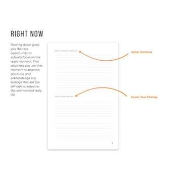 Full Focus Journal™ by Michael Hyatt - The Daily Journal to Clarify Your Thinking, Process Your Days, and Slow Down - Gratitude & Productivity Journal - Hardcover