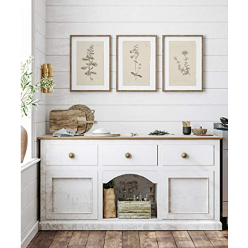 Elegant Wall Art Botanical Prints Set of 4 for Home Decor