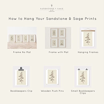 Elegant Wall Art Botanical Prints Set of 4 for Home Decor