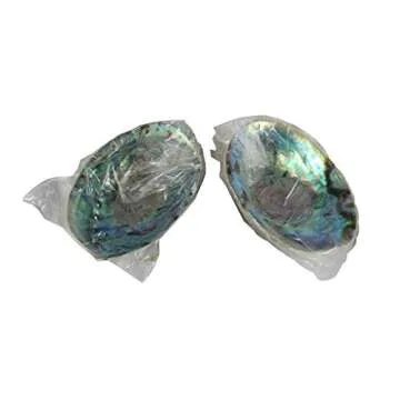 CircuitOffice Abalone Shell for Smudging and Meditation