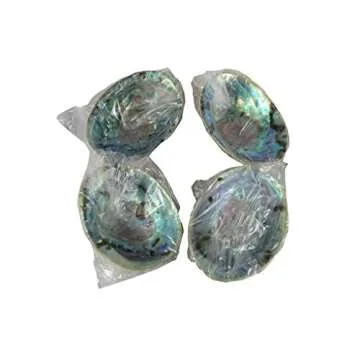 CircuitOffice Abalone Shell for Smudging and Meditation