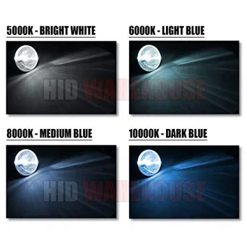 HID-Warehouse D2S/D2R/D2C HID Xenon Replacement Bulbs