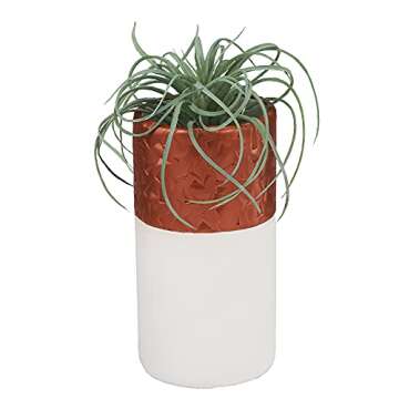 Polyform Sculpey Premo Metallics and Glitters Color sampler pack, 12 colors, Premium Polymer Oven-Bake Clay, Non Toxic, 12 oz., Great for jewelry making, holiday, DIY, mixed media andmore.