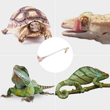 3 Pcs Aquarium Tweezers, Stainless Steel Feeding Tongs Straight and Curved Tweezers Set Long Handle Reptile Feeding Tongs for Aquatic Plants Lizards Spider Snakes