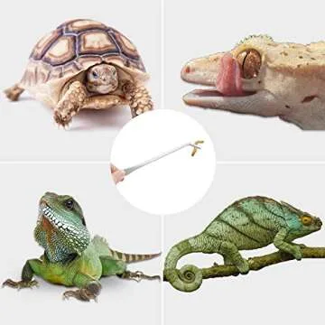 3 Pcs Aquarium Tweezers, Stainless Steel Feeding Tongs Straight and Curved Tweezers Set Long Handle Reptile Feeding Tongs for Aquatic Plants Lizards Spider Snakes