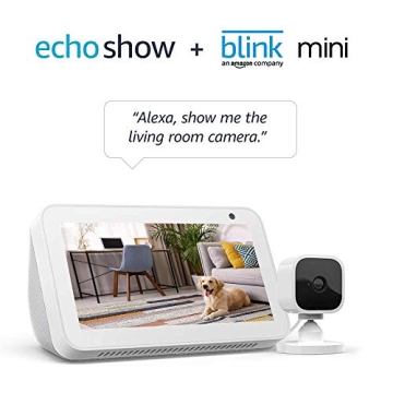 Echo Show 5 Sandstone with Blink Mini Smart Security