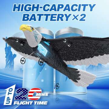 DEERC Remote Control Eagle Plane - Easy to Fly for Everyone