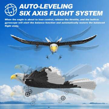 DEERC Remote Control Eagle Plane - Easy to Fly for Everyone