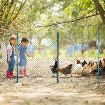 ARIFARO Fence Posts 4 Feet Sturdy Duty Metal Fence Post, Pack of 10, No Dig Garden U Post for Wire Fencing Steel Post for Yard, Outdoor Wire