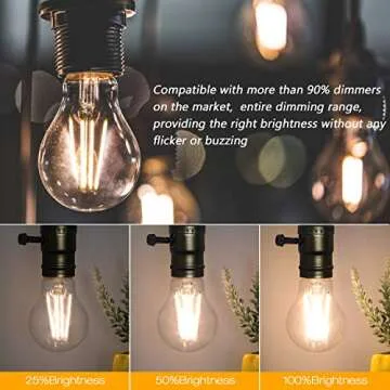 Boncoo Vintage LED Edison Bulb - Dimmable & Energy Efficient