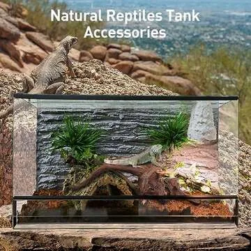 WDEFUN Natural Driftwood for Aquarium Decor, 1-Piece 13''-17'' Large Driftwood for Decorations on Fish Tank, Reptiles Bearded Dragon Accessories or Air Plants