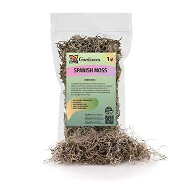 Gardenera Premium Natural Spanish Moss | Natural Preserved - Great Ground Cover - Filler for Potted ...