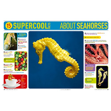 5,000 Awesome Facts (About Everything!) Book for Kids