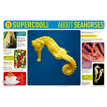 5,000 Awesome Facts (About Everything!) Book for Kids