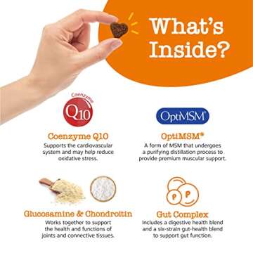 Zesty Paws Dog Multivitamin, Chewable Dog Vitamins and Supplements for Hip & Joints, Skin & Coat, Omega 3 Fish Oil for Dogs- Senior & Puppy Multivitamin - Peanut Butter- 90ct