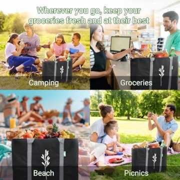 Green Bulldog 2Pack Insulated Grocery Bags – Foldable Reusable Cooler Bags with Handles for Everyday Use, Groceries, Food Delivery, and Shopping – 16”x9”x13”, Black