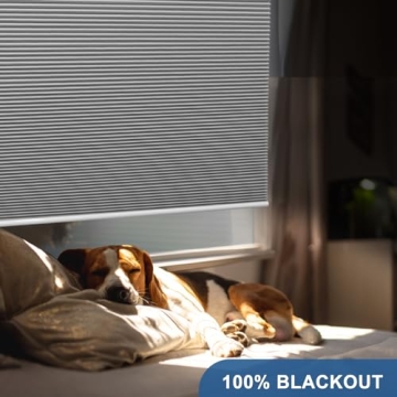 Cordless Blackout Cellular Shades for Energy Efficiency & Privacy